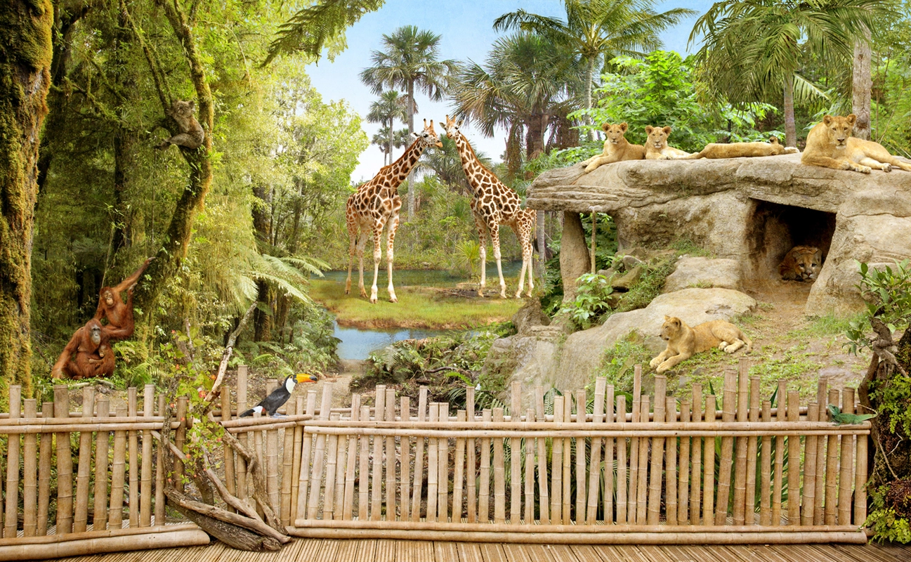 зоопарк, жирафы, макаки, львы, забор, деревья, зелёные, бежевые
